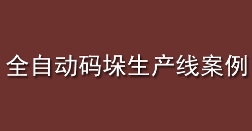 全自動(dòng)碼垛生產(chǎn)線(xiàn)案例 